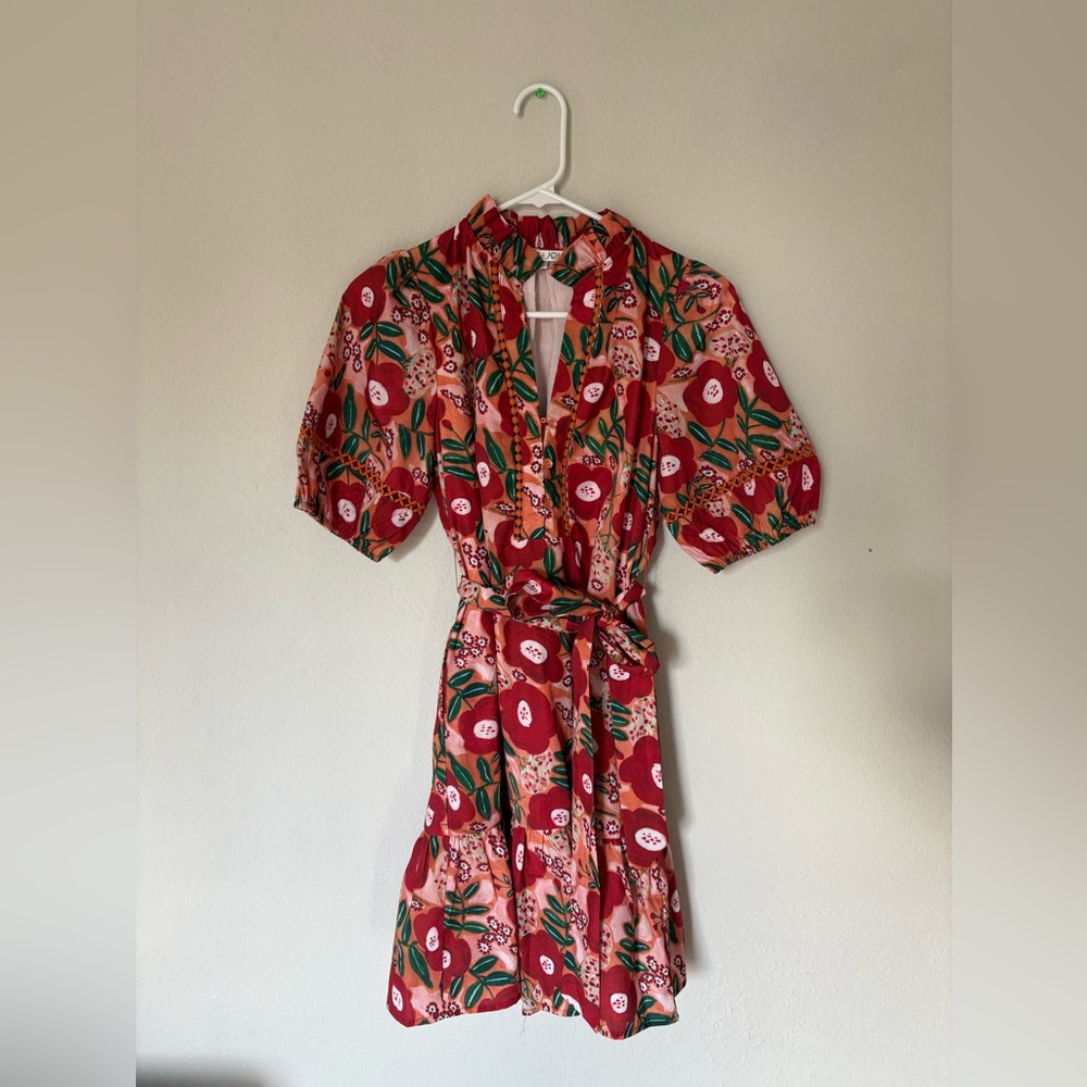 Joy Joy Red Floral Mini Dress
